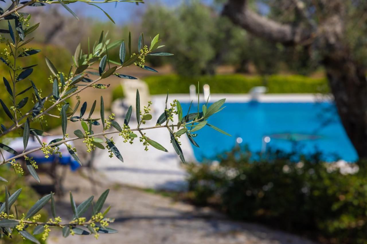 Casa Ulmi Con Piscina Bed & Breakfast อุจจาโน ลาเคียซา ภายนอก รูปภาพ